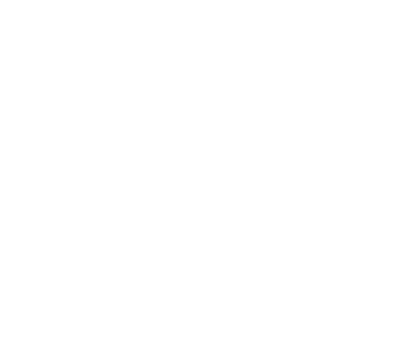 Tikvah Interactive